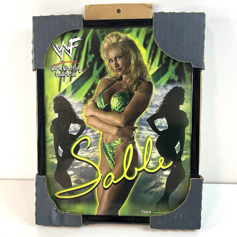 Vintage 8x10 Sable Picture In Frame World Wrestling Federation Captiva Inc.